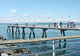 Edmonds Fishing Pier